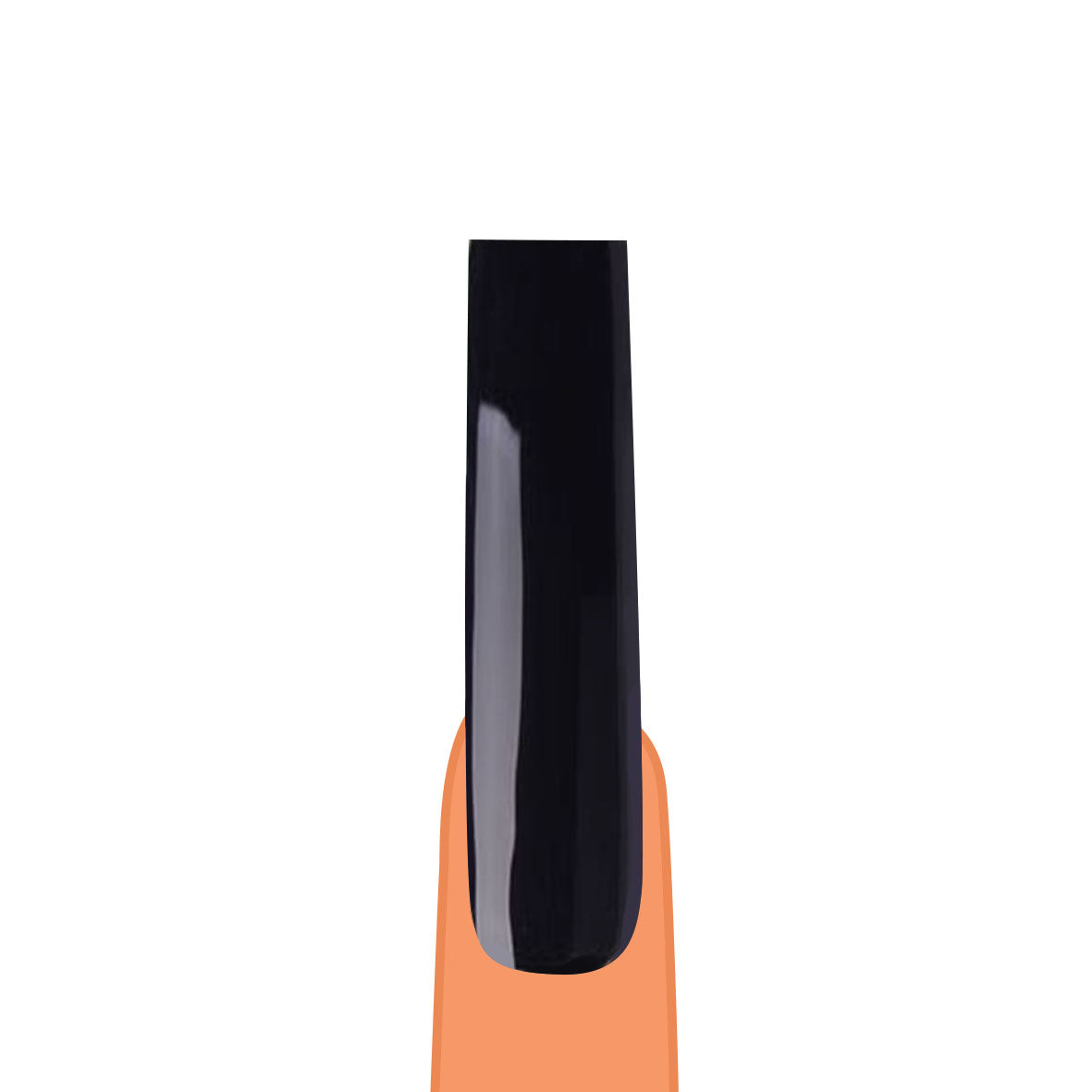 Licorice Gel